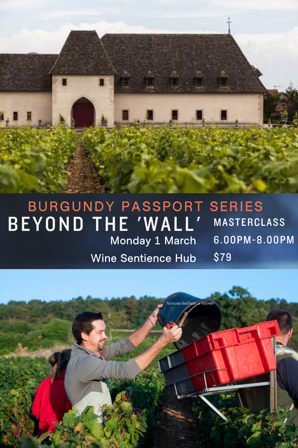 Burgundy Passport: Beyond the 'Wall'