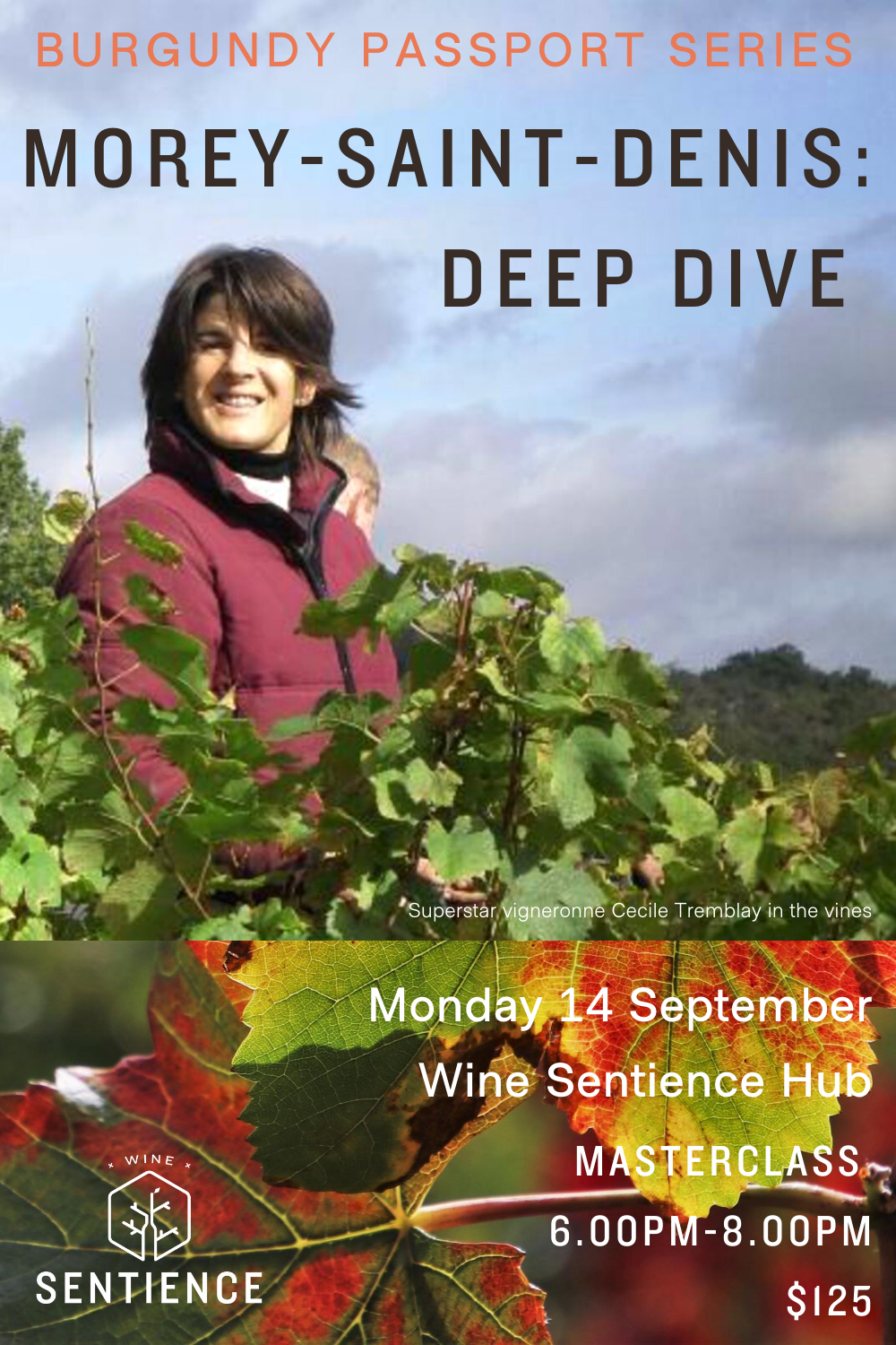 Burgundy Passport: Morey-Saint-Denis Deep Dive