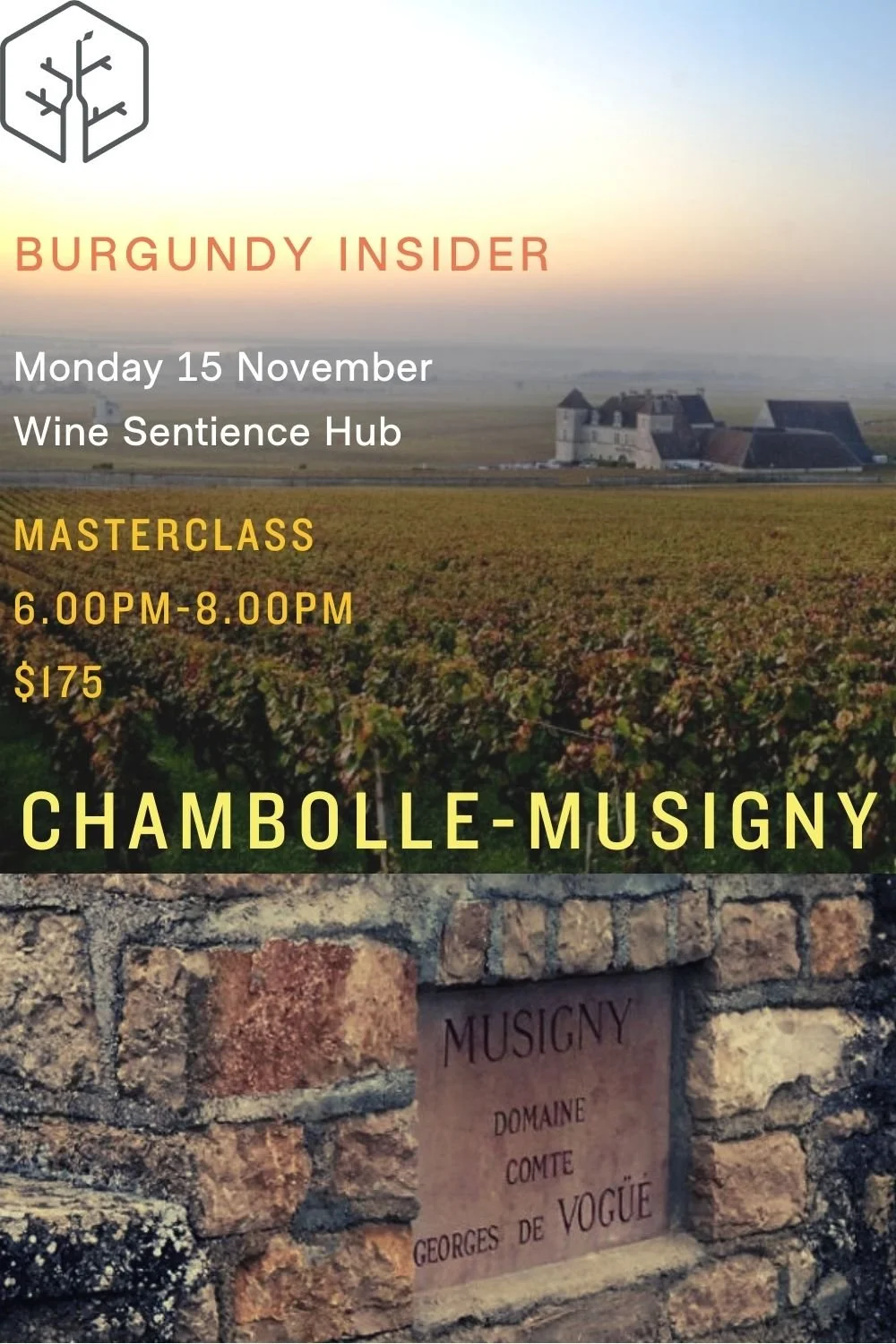 Burgundy Insider: Chambolle-Musigny