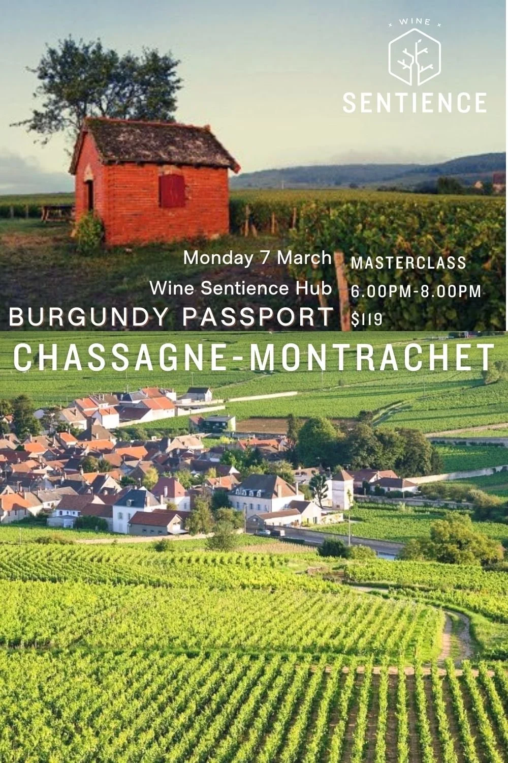Burgundy Passport: Chassagne-Montrachet