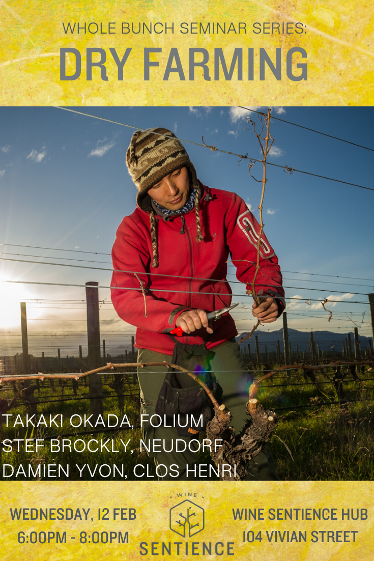 Whole Bunch Seminar Series: Dry Farming