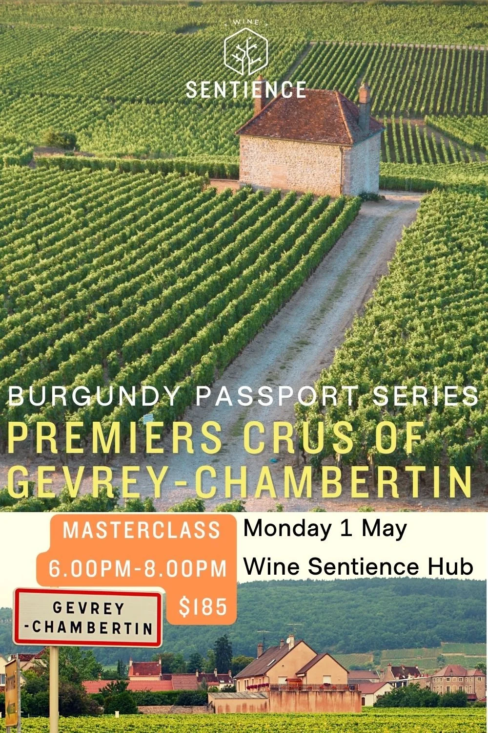 Burgundy Passport: Premiers Crus of Gevrey-Chambertin