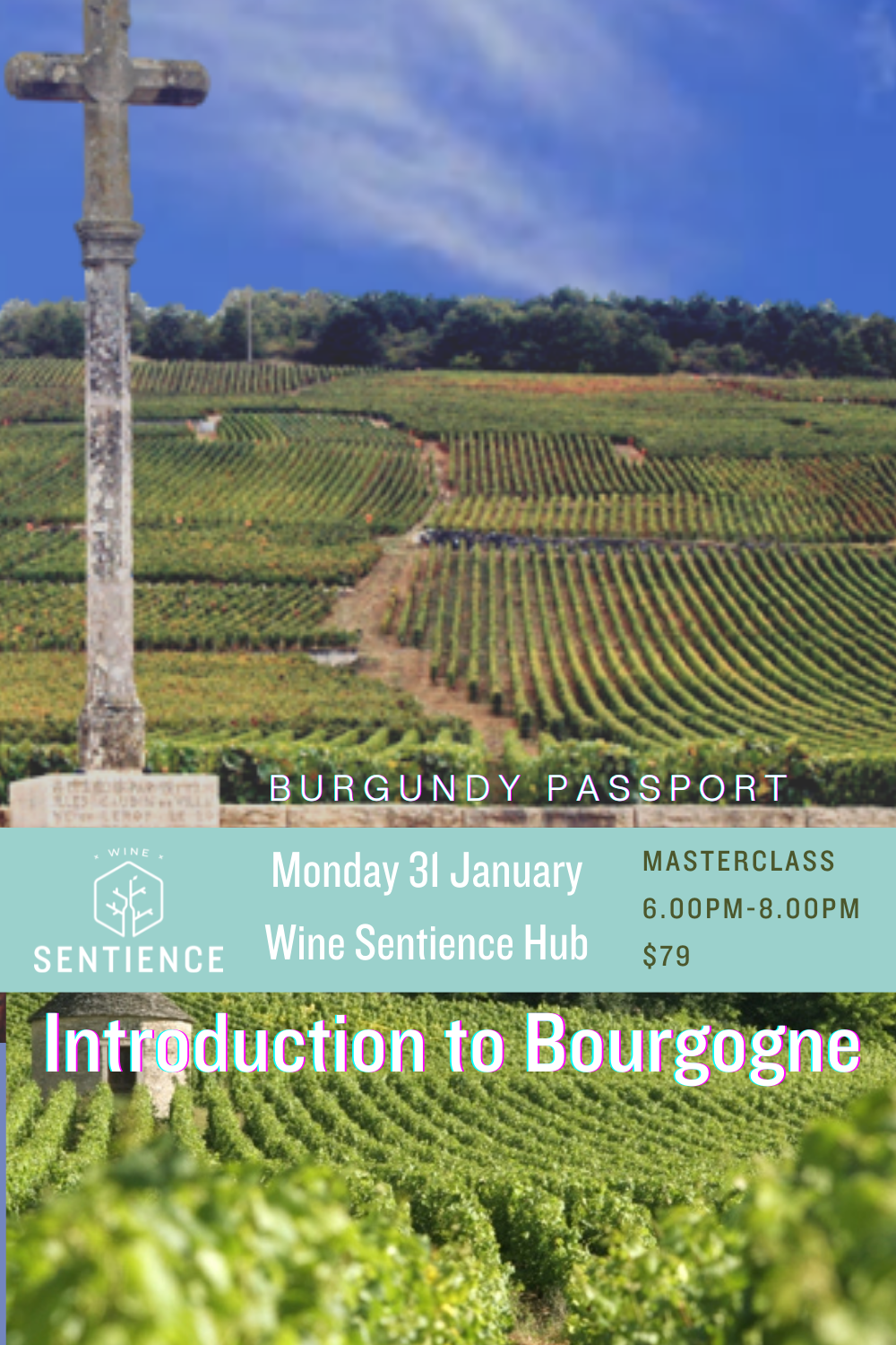 Burgundy Passport - Introduction to Bourgogne