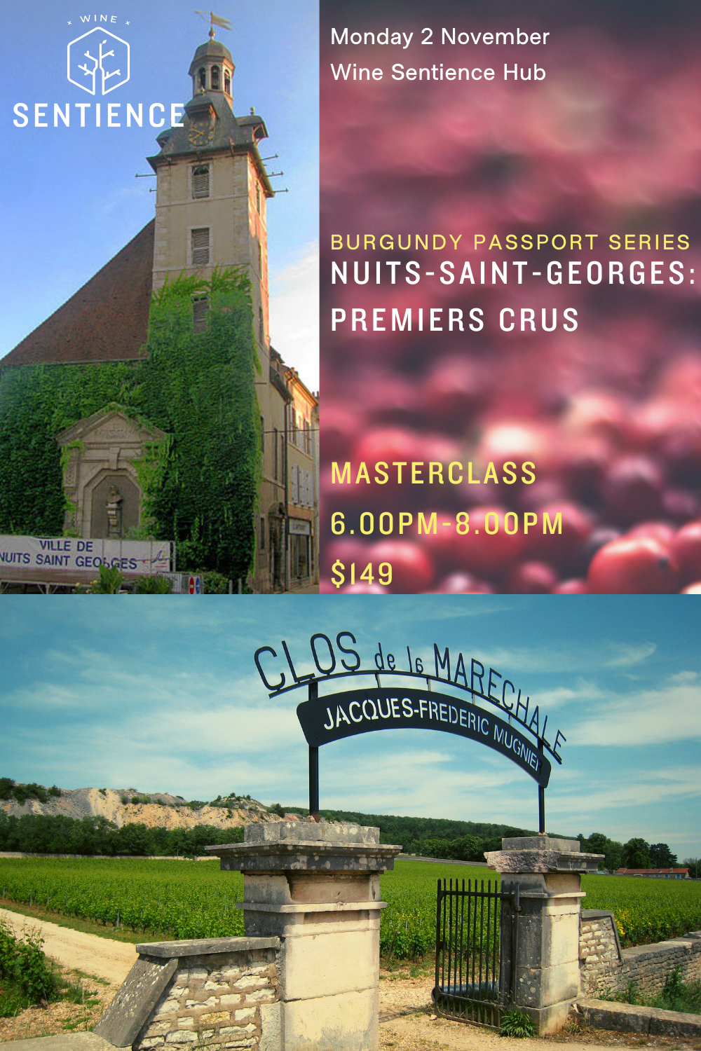 Burgundy Passport: Nuits-Saint-Georges Premiers Crus