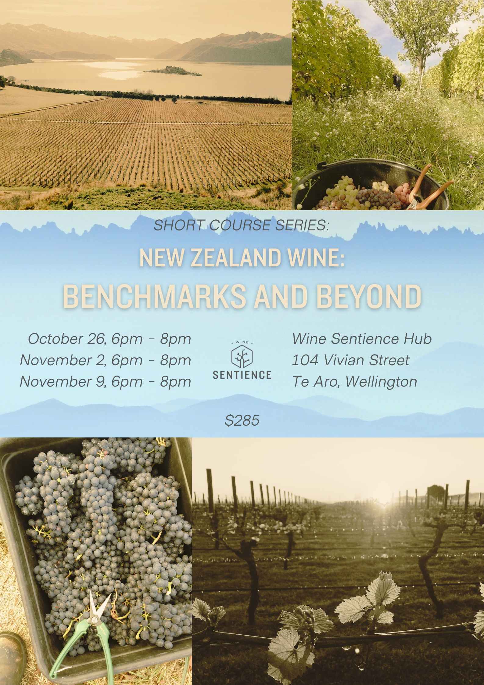 New Zealand Wine: Benchmarks and Beyond  