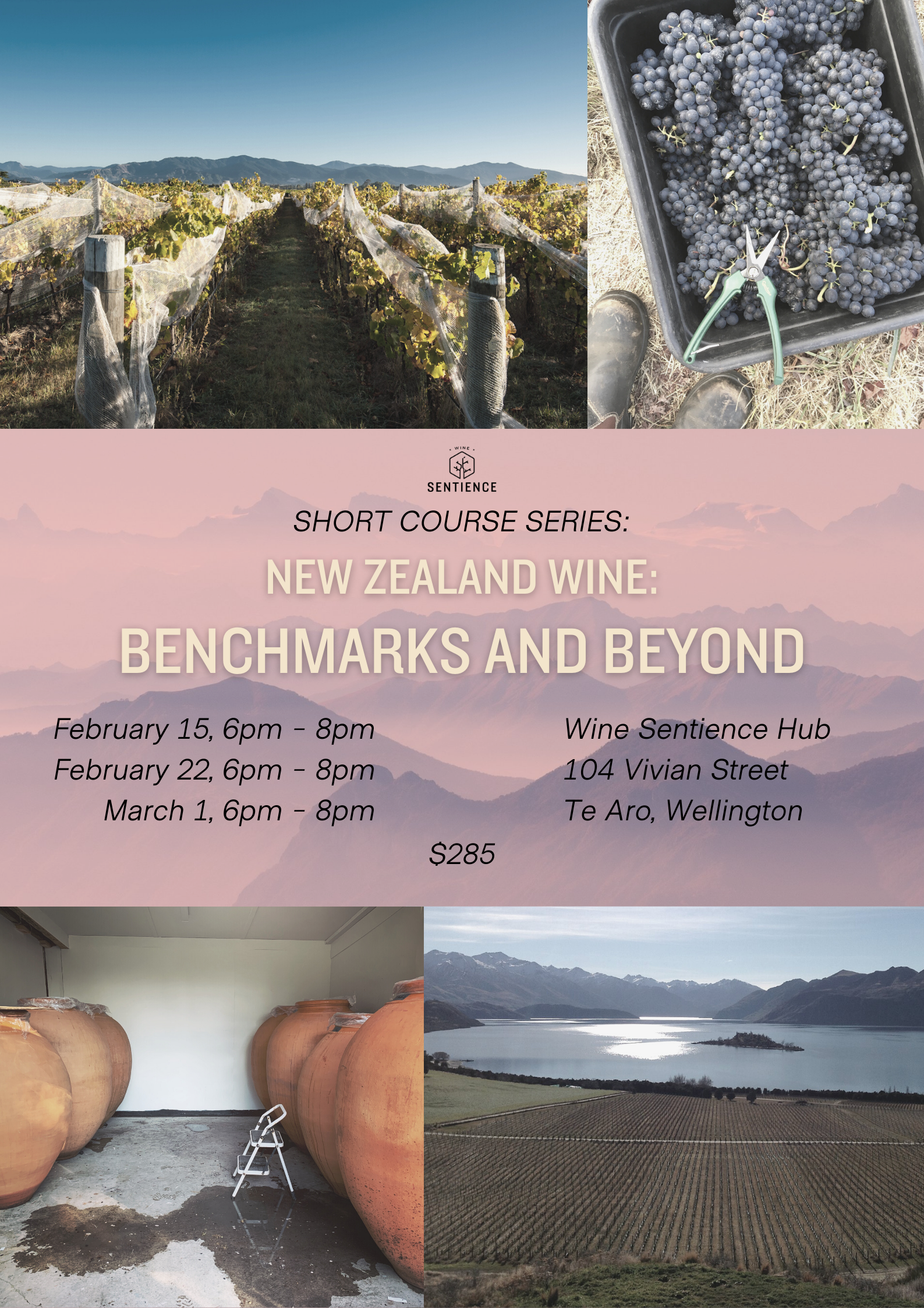 New Zealand Wine: Benchmarks and Beyond