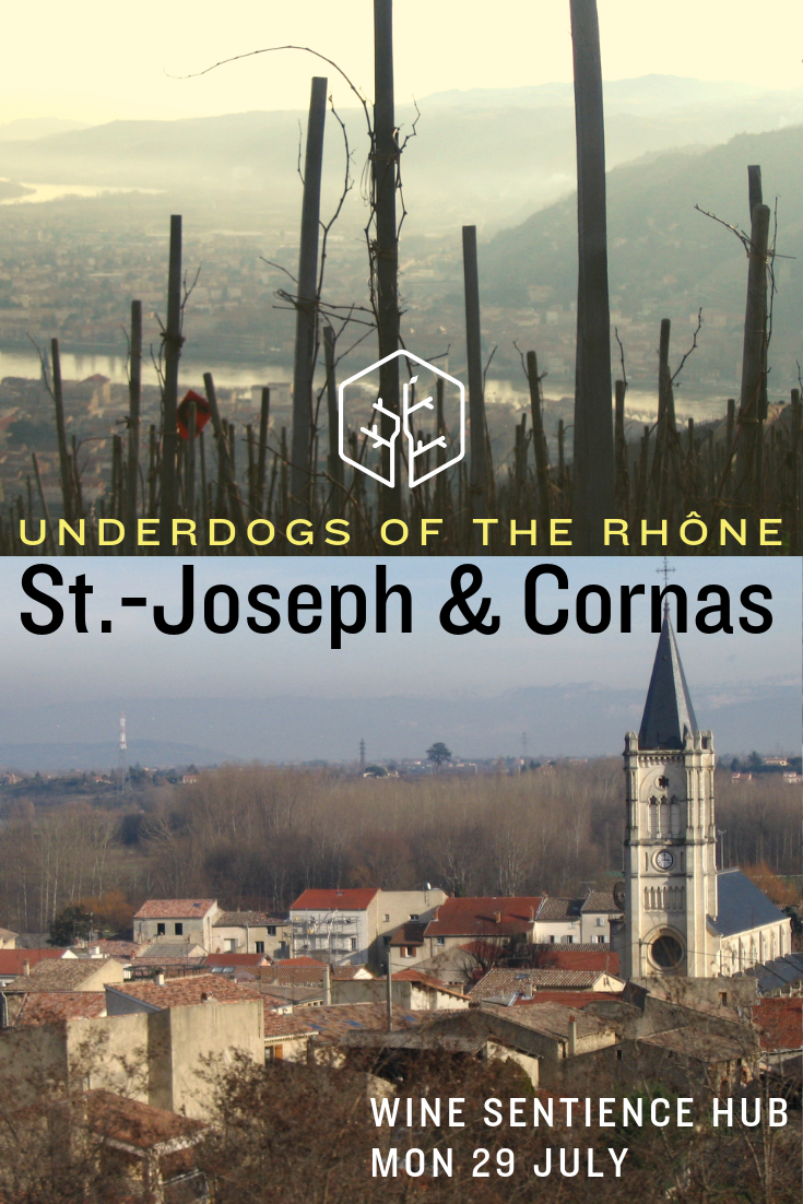 Underdogs of the Rhône: St.-Joseph & Cornas