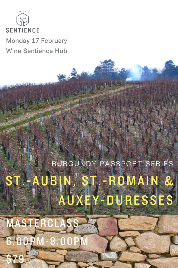 Burgundy Passport - St.-Aubin, St.-Romain & Auxey-Duresses