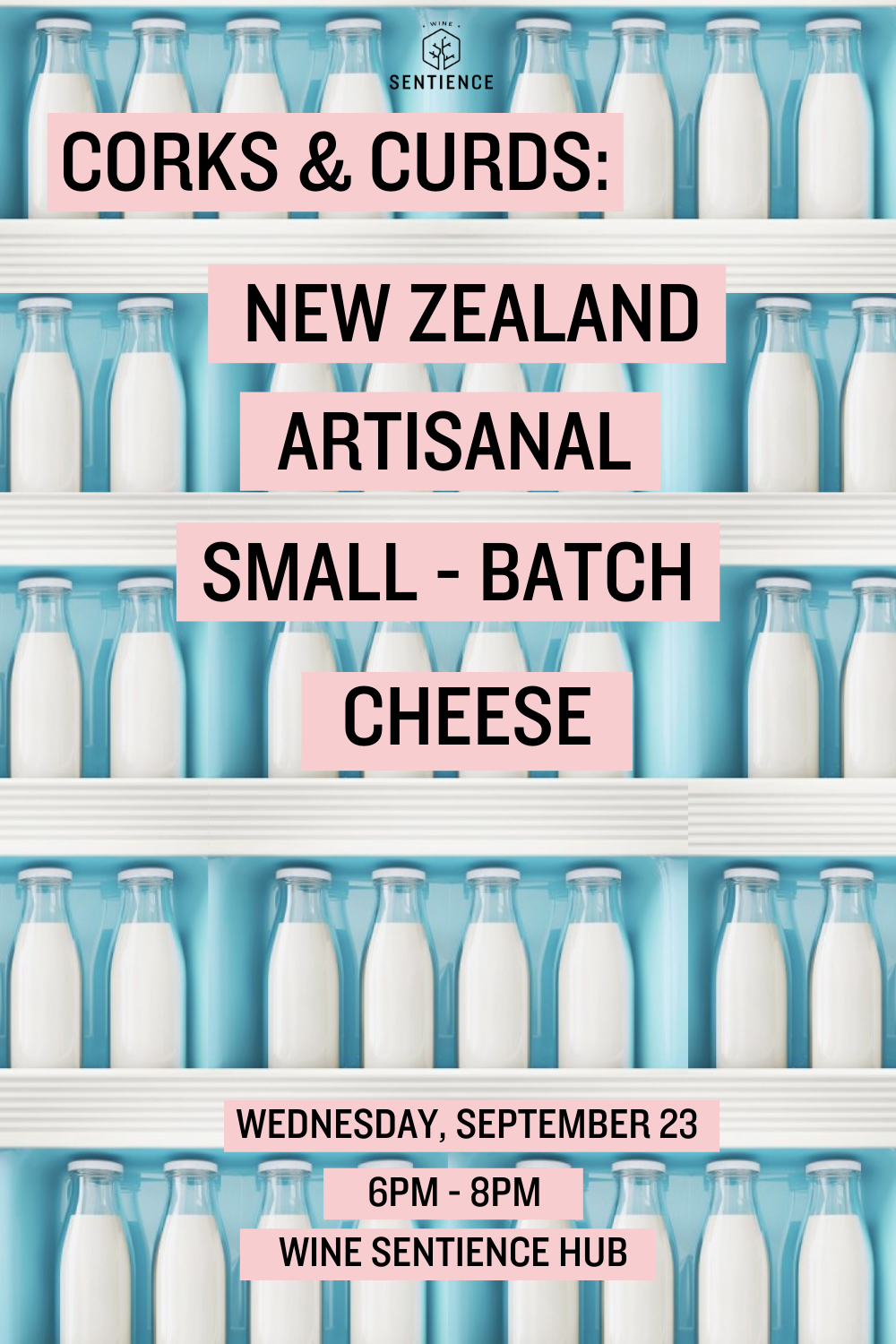 Corks & Curds: NZ Cheese