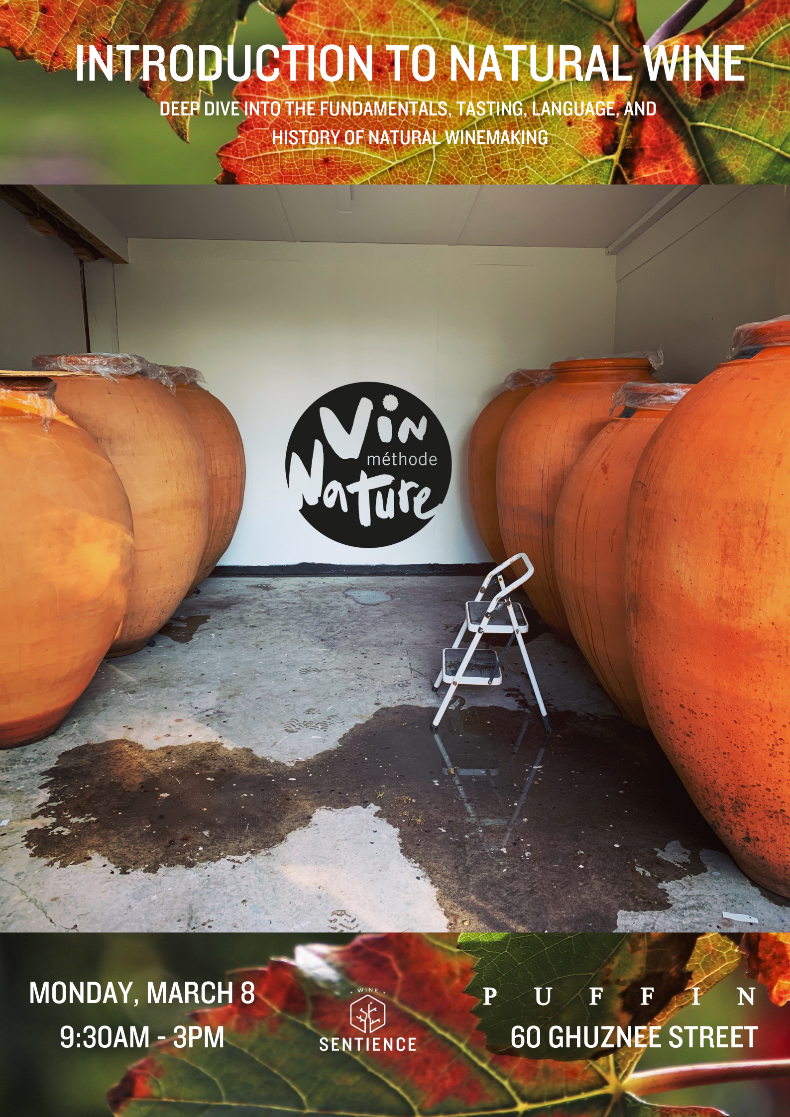 Introduction to Natural Wine