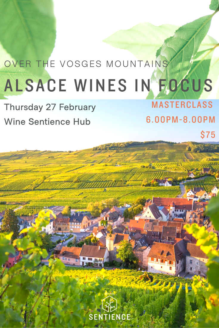 Alsace in Focus