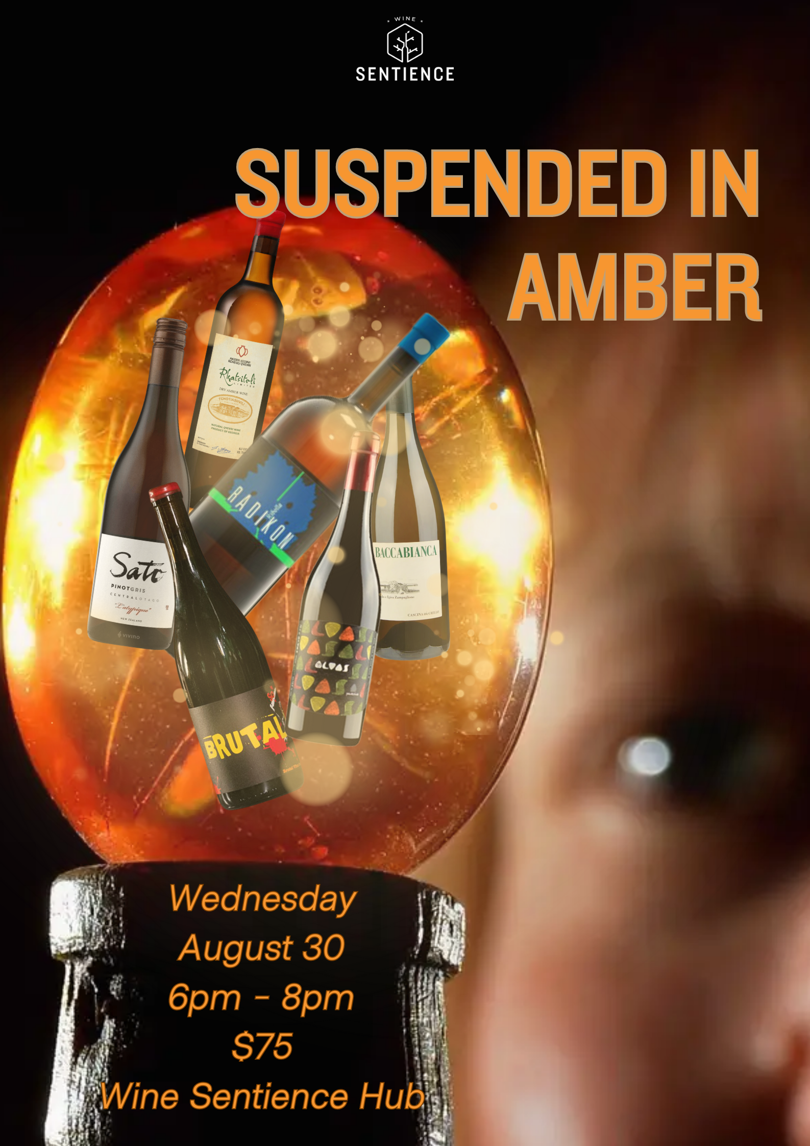 Suspended in Amber