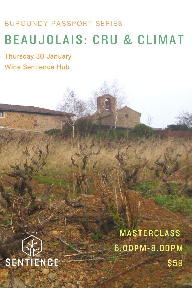 Burgundy Passport - Beaujolais: Cru & Climat
